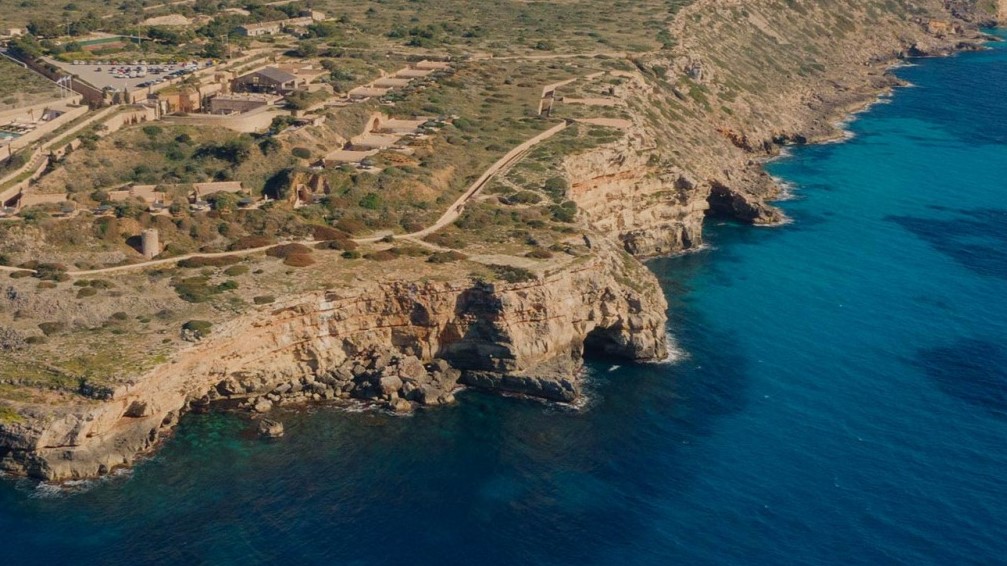 cap-denderrocat.IMG_-2.jpg